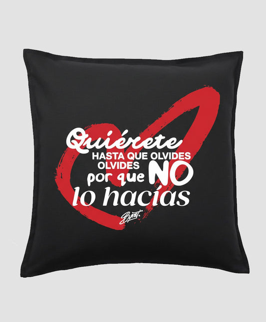 Funda de cojín